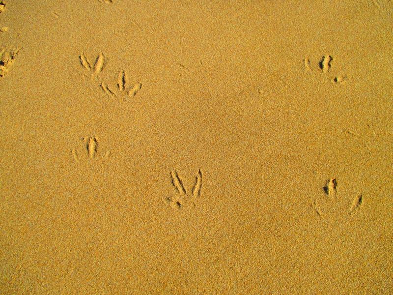 4 Bedroom Property for Sale in Dana Bay Western Cape